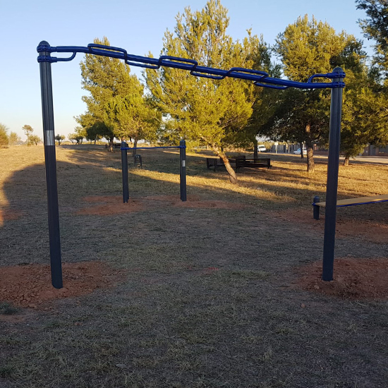 Monkey Bar