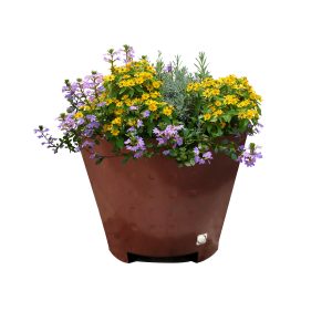 Jardinera Dalia